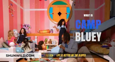 Discovering Camp Bluey: A Fun-Filled Adventure for Kids and Families