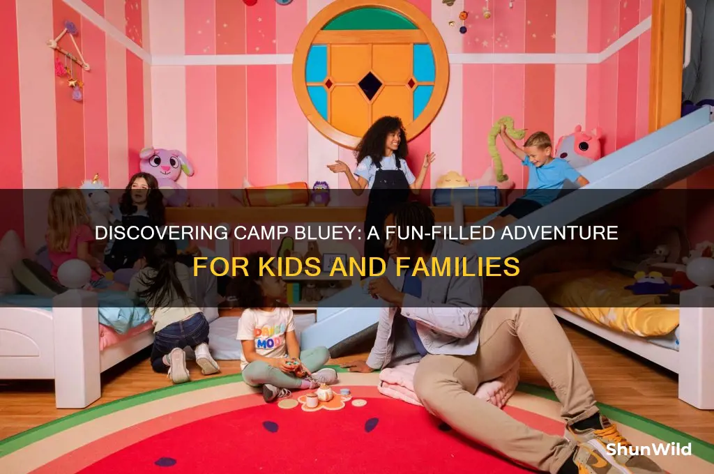 what is camp bluey