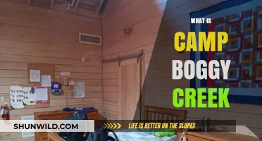 Exploring Camp Boggy Creek: History, Activities, and Family Fun