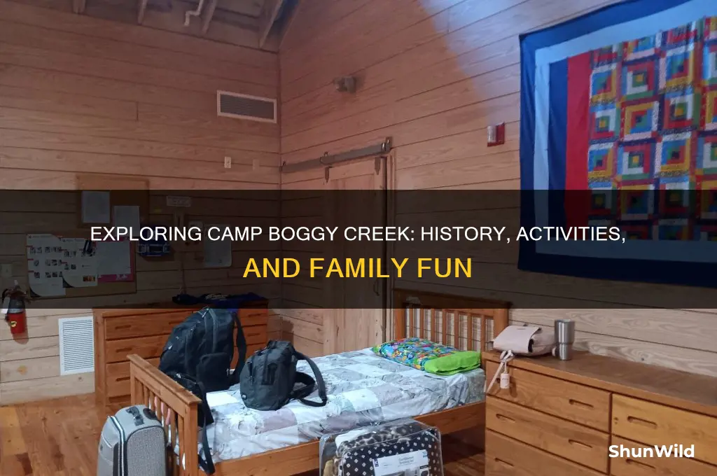 what is camp boggy creek