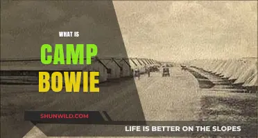 Exploring Camp Bowie: History, Purpose, and Modern-Day Significance