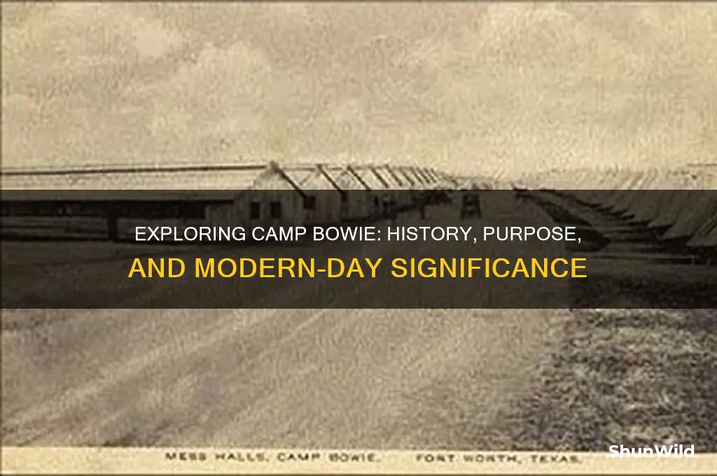 what is camp bowie