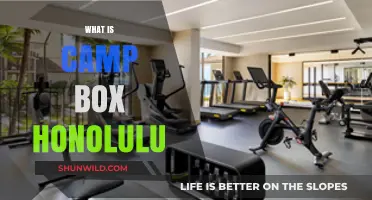 Discover Camp Box Honolulu: Ultimate Fitness & Community Experience