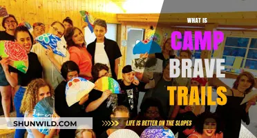 Discover Camp Brave Trails: A Transformative LGBTQ+ Youth Summer Camp