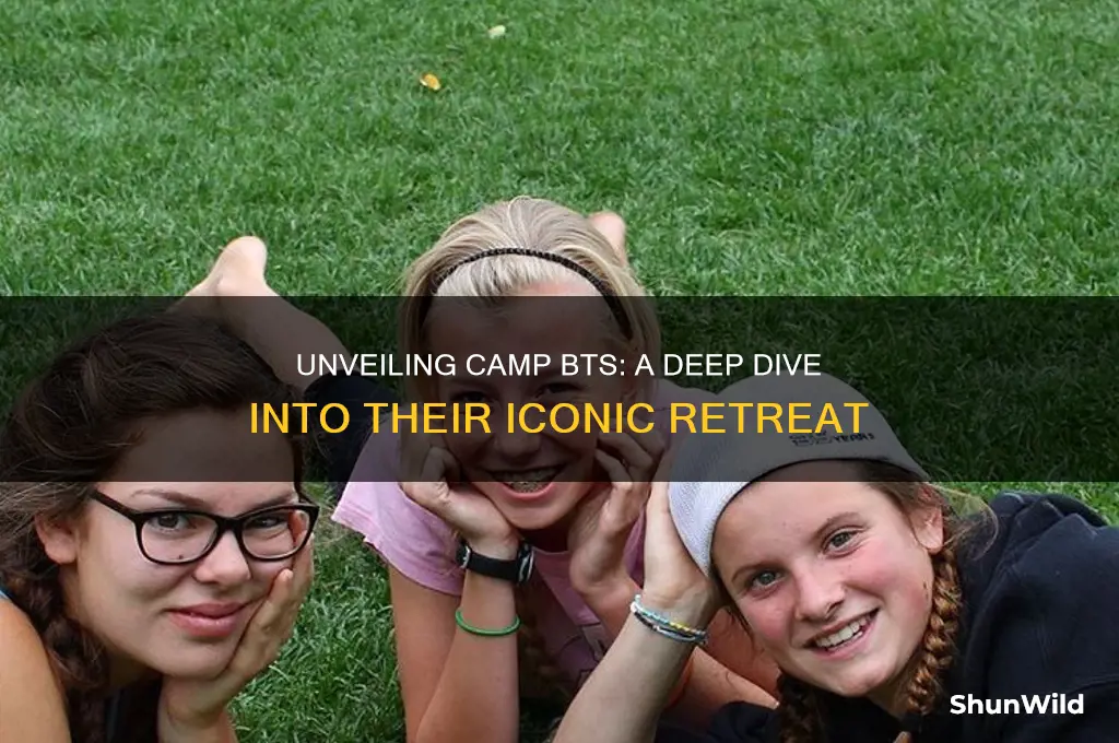what is camp bts