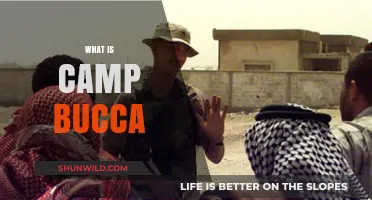 Unveiling Camp Bucca: History, Impact, and Legacy Explained