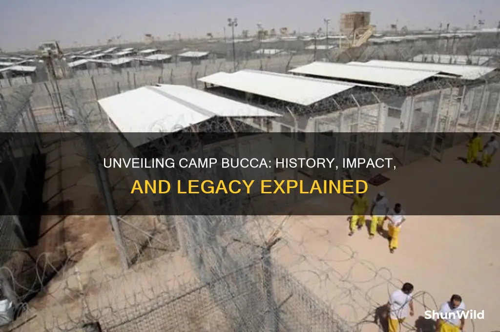 what is camp bucca