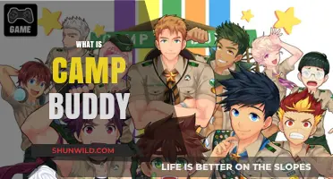 Exploring Camp Buddy: A Visual Novel Adventure Unveiled