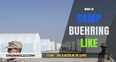Life at Camp Buehring: Insights, Experiences, and Daily Realities