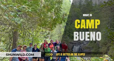 Exploring Camp Bueno: A Unique Outdoor Adventure Experience Revealed