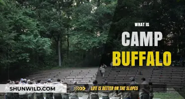 Exploring Camp Buffalo: History, Activities, and Unique Experiences Revealed
