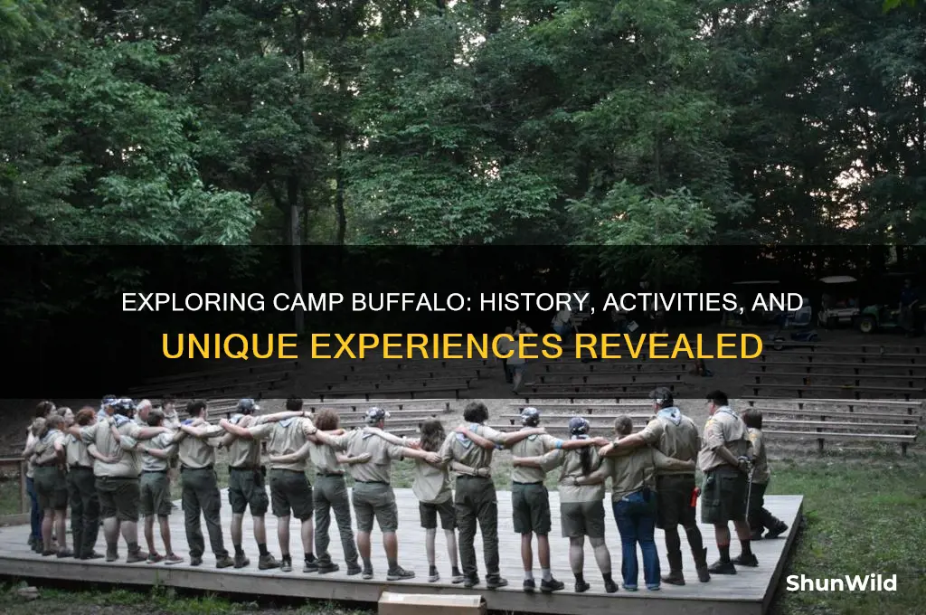 what is camp buffalo
