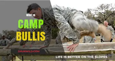 Exploring Camp Bullis: History, Purpose, and Impact on Military Training