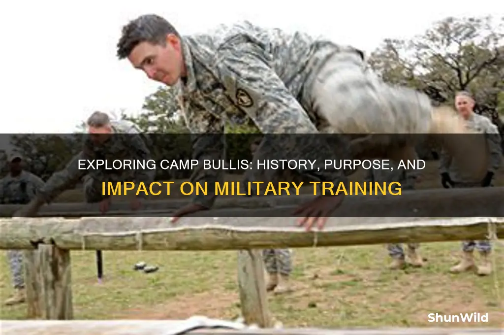 what is camp bullis