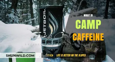 Unveiling Camp Caffeine: A Unique Blend of Adventure and Energy