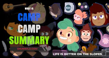 Camp Camp Summary: Exploring the Hilarious Animated Web Series