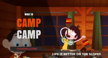 Exploring Camp Camp: A Hilarious Animated Series for Adults