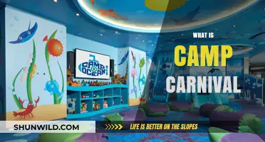 Discover the Fun: What is Camp Carnival and Why Kids Love It