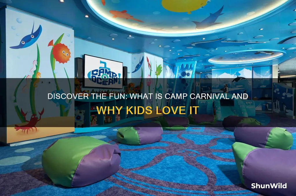 what is camp carnival