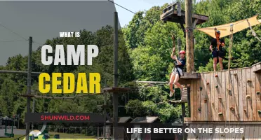 Discover Camp Cedar: A Hidden Gem for Outdoor Adventures and Fun