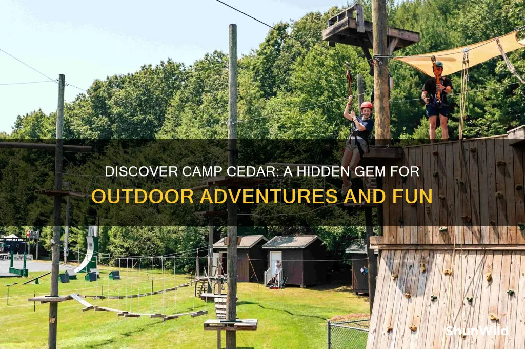 what is camp cedar