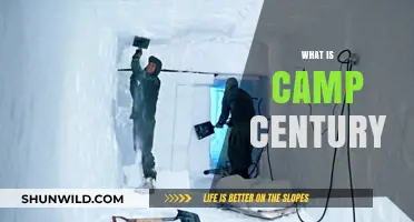 Unveiling Camp Century: The Secret Arctic Military Base's Hidden History