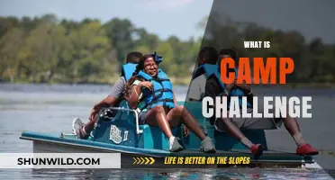 Unveiling the Camp Challenge: Adventure, Growth, and Teamwork Explained