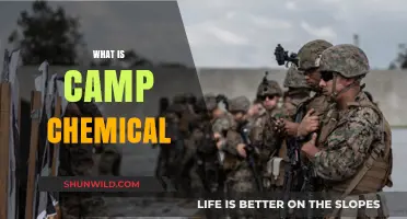 Understanding Camp Chemical: Uses, Safety, and Environmental Impact Explained