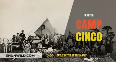 Exploring Camp Cinco: History, Purpose, and Impact Unveiled