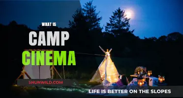 Exploring the Exaggerated, Eccentric World of Camp Cinema: A Guide