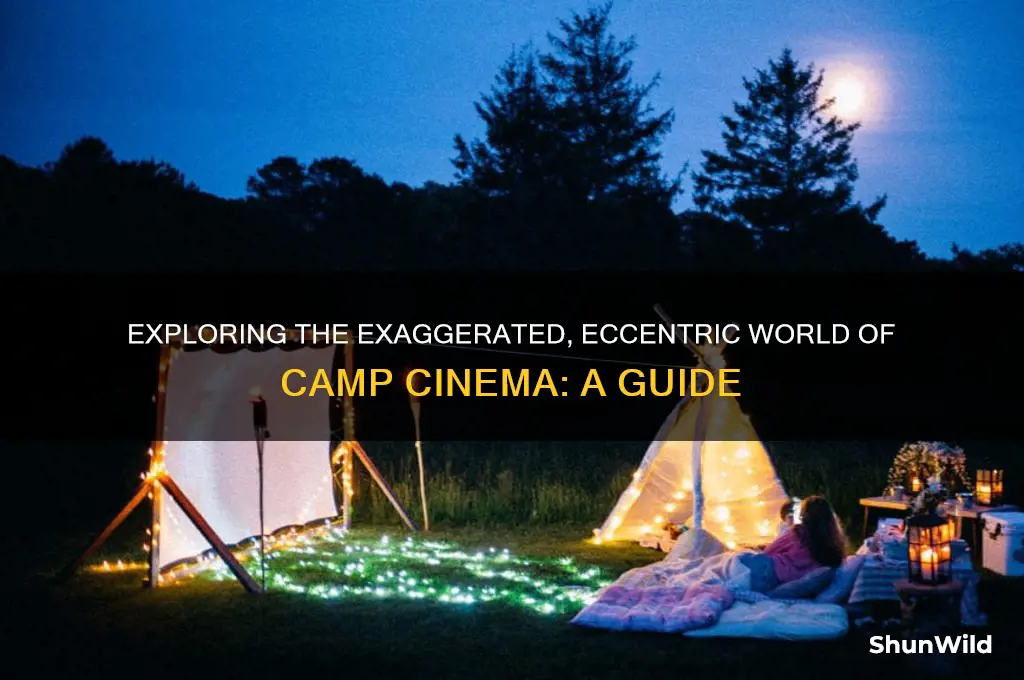 what is camp cinema