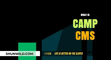 Understanding Camp CMS: A Comprehensive Guide to Its Features and Benefits