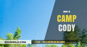Exploring Camp Cody: History, Significance, and Legacy Revealed