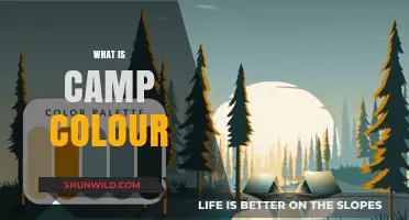 Exploring Camp Colour: A Vibrant Guide to Its Meaning and Uses