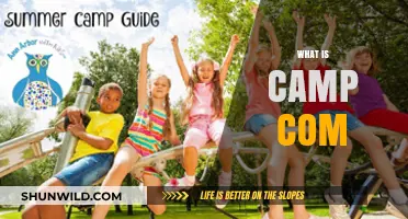 Exploring Camp Com: A Comprehensive Guide to Its Meaning and Impact