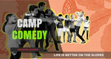Exploring the Wit and Whimsy of Camp Comedy: A Guide