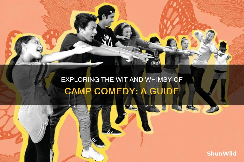 what is camp comedy
