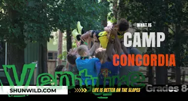 Discover Camp Concordia: A Haven for Adventure and Community
