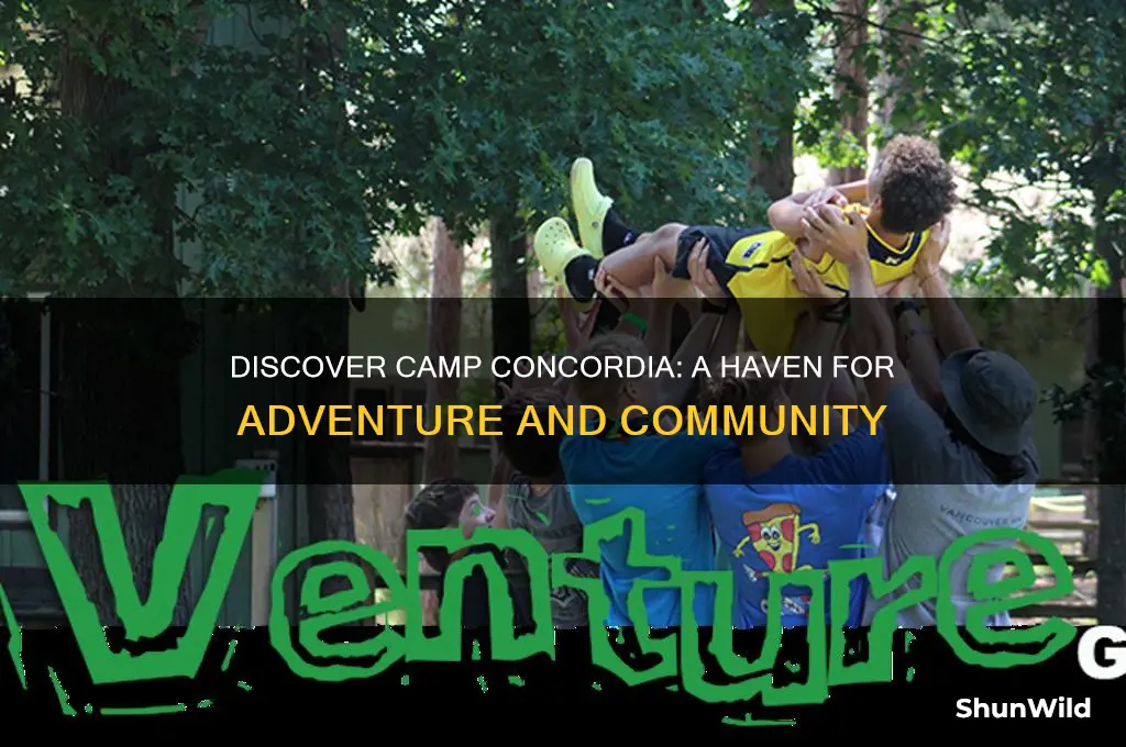 what is camp concordia