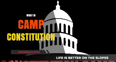 Understanding Camp Constitution: Purpose, Activities, and Impact Explained