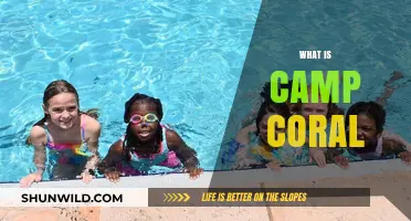 Exploring Camp Coral: A Fun-Filled Adventure for Kids and Families