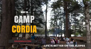 Discover Camp Cordia: A Unique Summer Adventure Experience