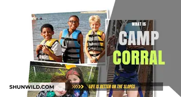 Discover Camp Corral: Empowering Military Kids Through Adventure and Support