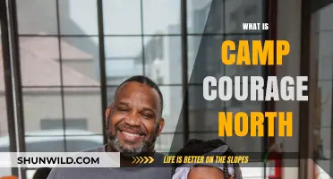 Discover Camp Courage North: A Haven for Growth and Adventure