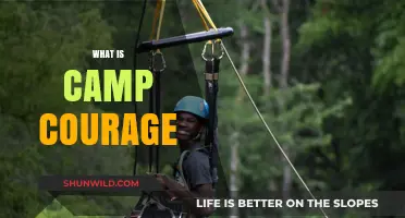 Discover Camp Courage: Empowering Youth Through Adventure and Resilience
