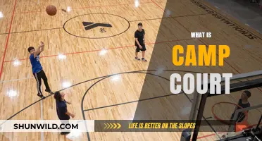 Exploring Camp Court: A Unique Summer Adventure for Teens