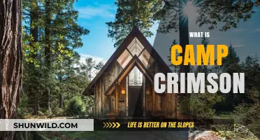 Discover Camp Crimson: A Gateway to University Spirit and Community