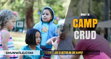 Unveiling Camp Crud: Understanding Its Origins, Impact, and Modern Relevance