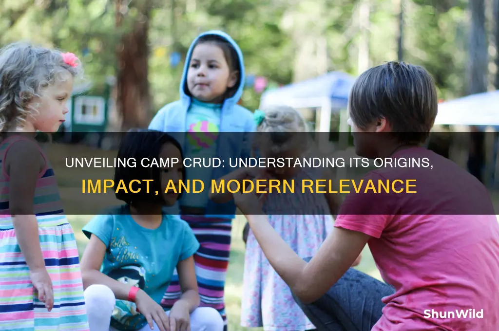 what is camp crud