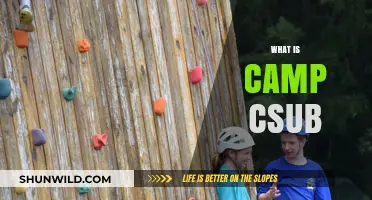 Exploring Camp CSUB: California State University Bakersfield's Unique Adventure Program